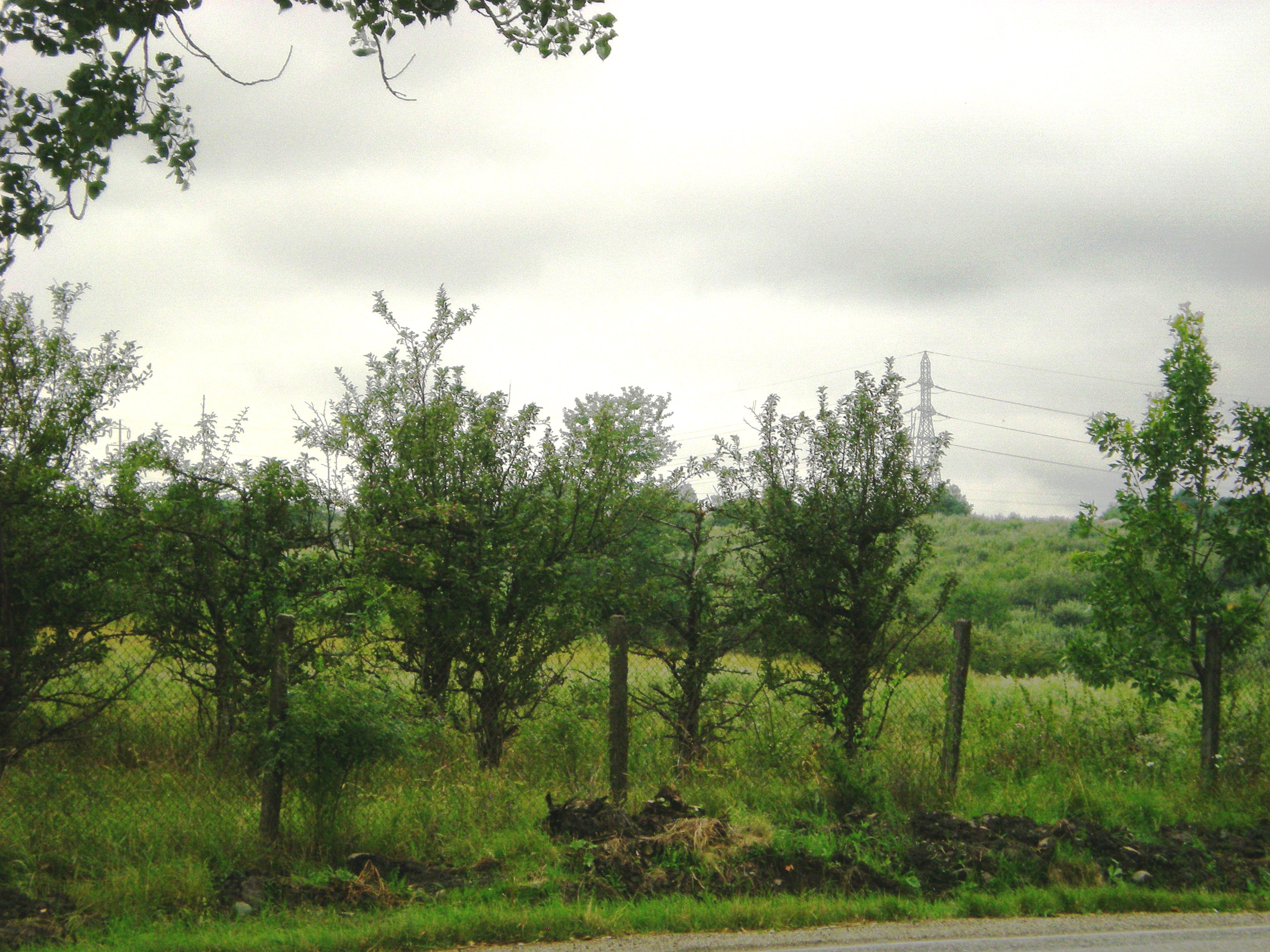 Entering Falticeni